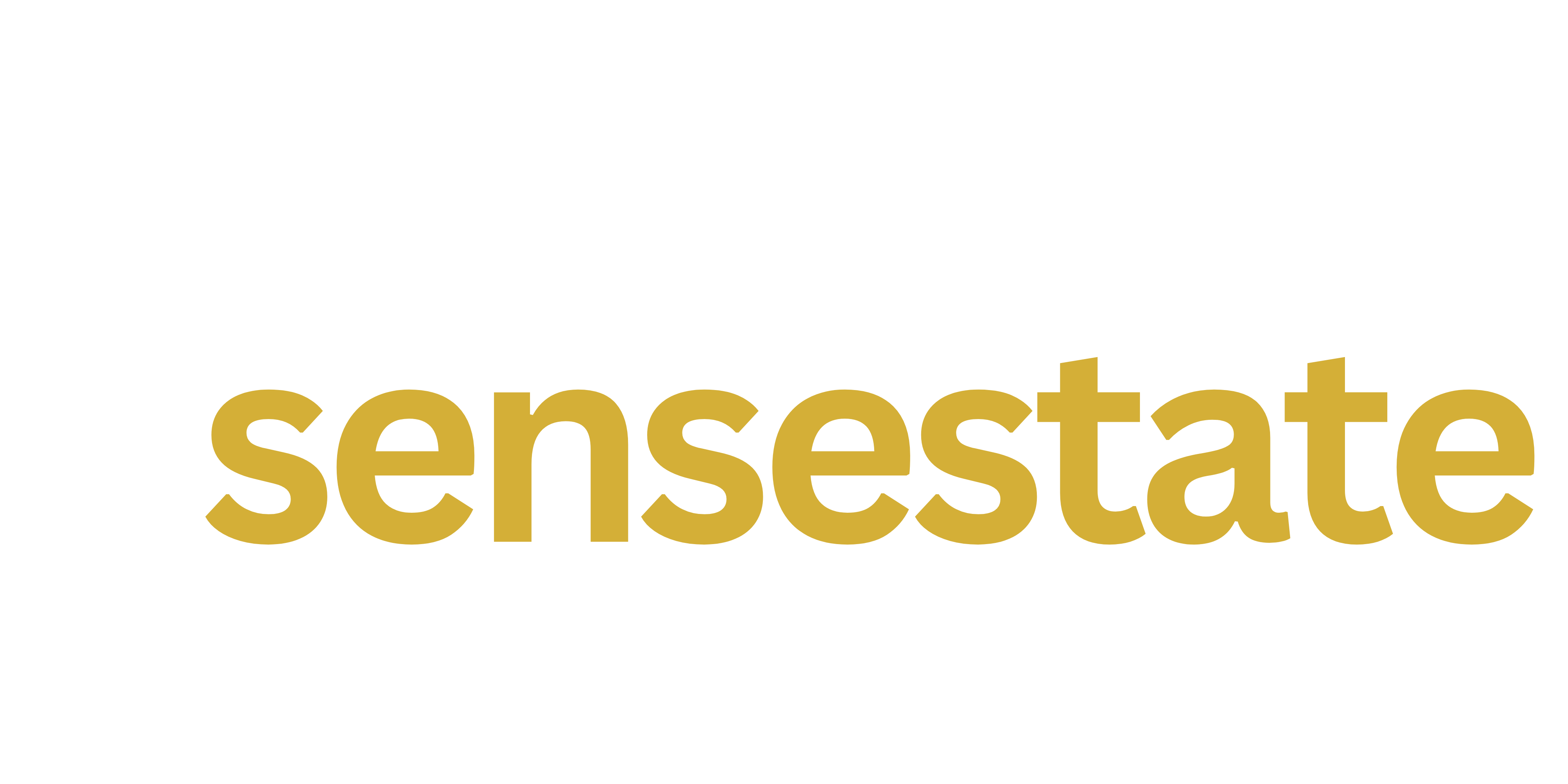 SENSESTATE